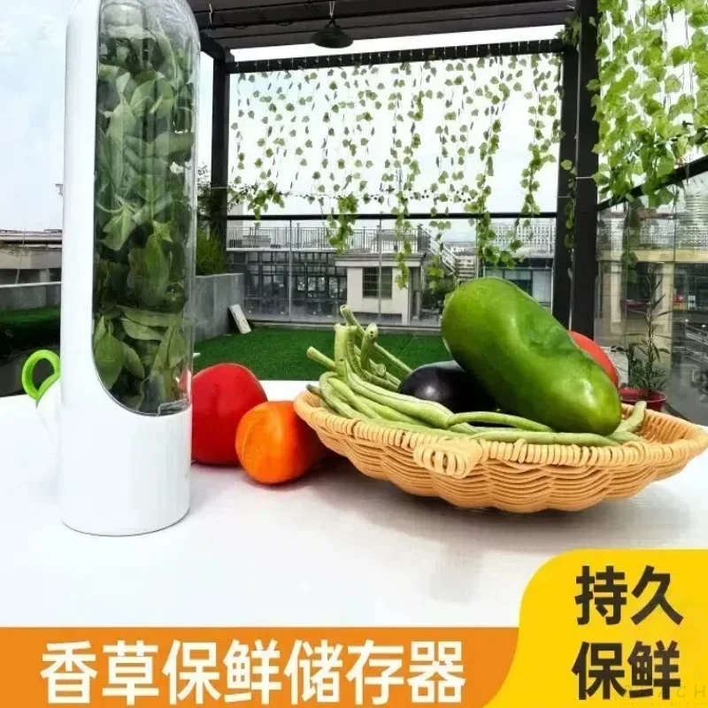 Cross-border Vanilla Vegetable Fresh-keeping Box Dust-proof Anti-pressure Environmental Protection Fresh-keeping Device Creative - Image 4