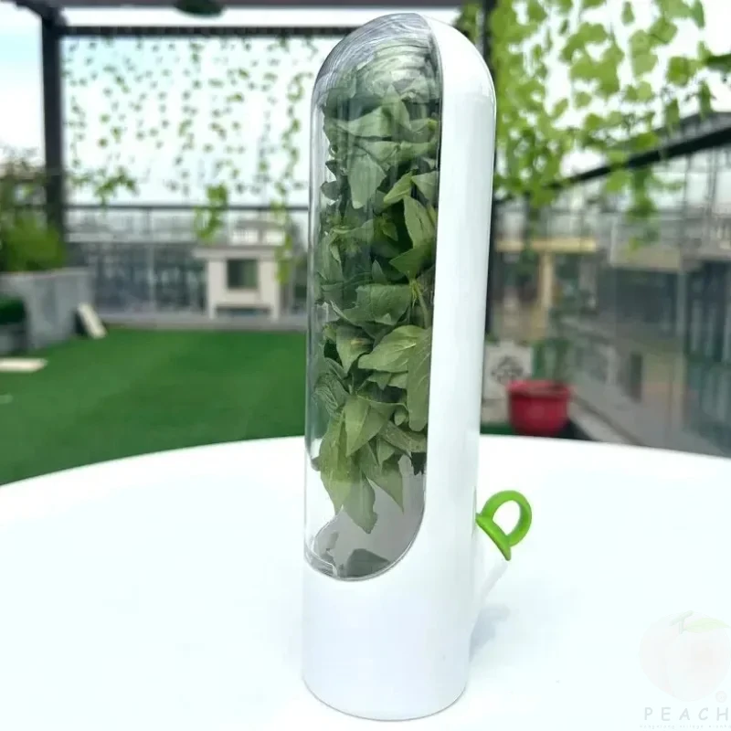 Cross-border Vanilla Vegetable Fresh-keeping Box Dust-proof Anti-pressure Environmental Protection Fresh-keeping Device Creative - Image 5