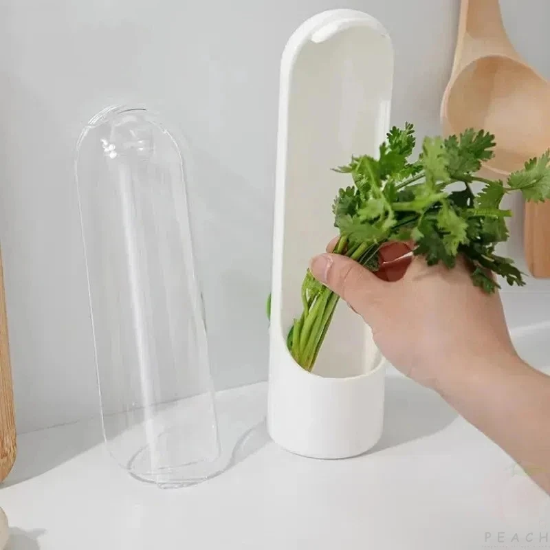 Cross-border Vanilla Vegetable Fresh-keeping Box Dust-proof Anti-pressure Environmental Protection Fresh-keeping Device Creative - Image 2
